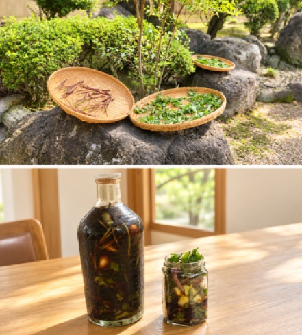 ざるで天日干しした葉と、ニンニク醤油漬け